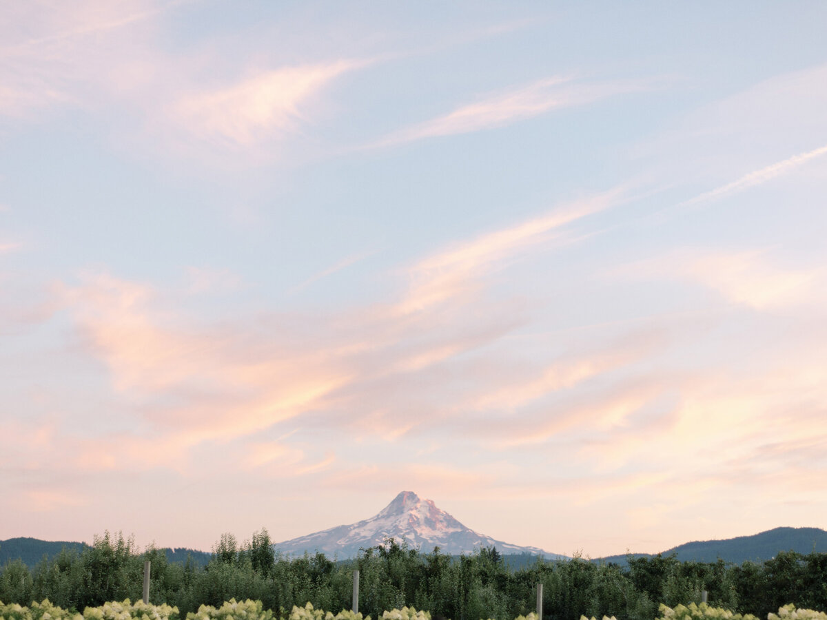 the-orchard-wedding-photos-by-the-tenneys-photography-in-hood-river-oregon-39