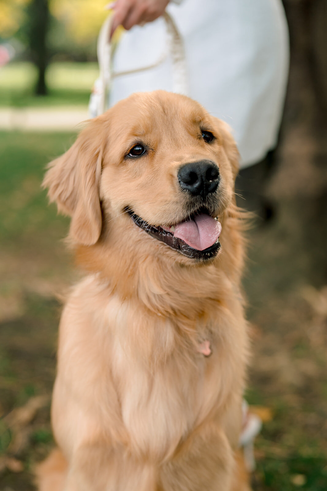 Boston-Wedding-Photographer (2)