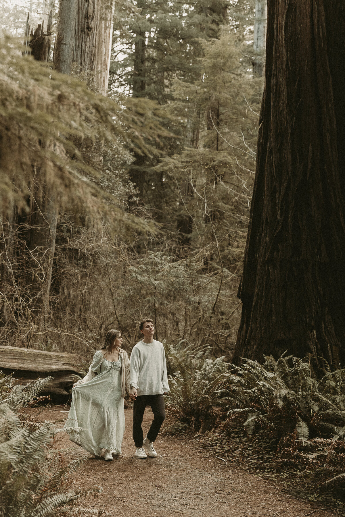 AbbyReePhotography-RedwoodsCouple-23