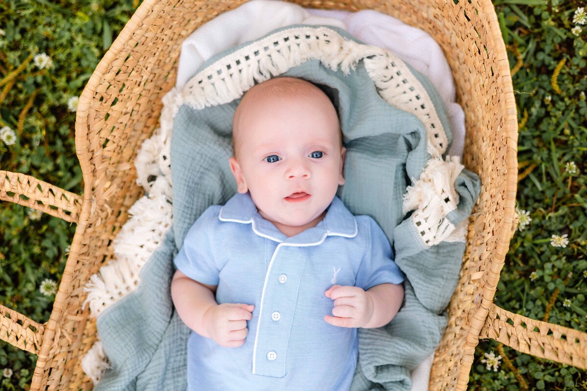 baby boy wearing blue in a moses basket with Constance Calton photography in Guyton, GA