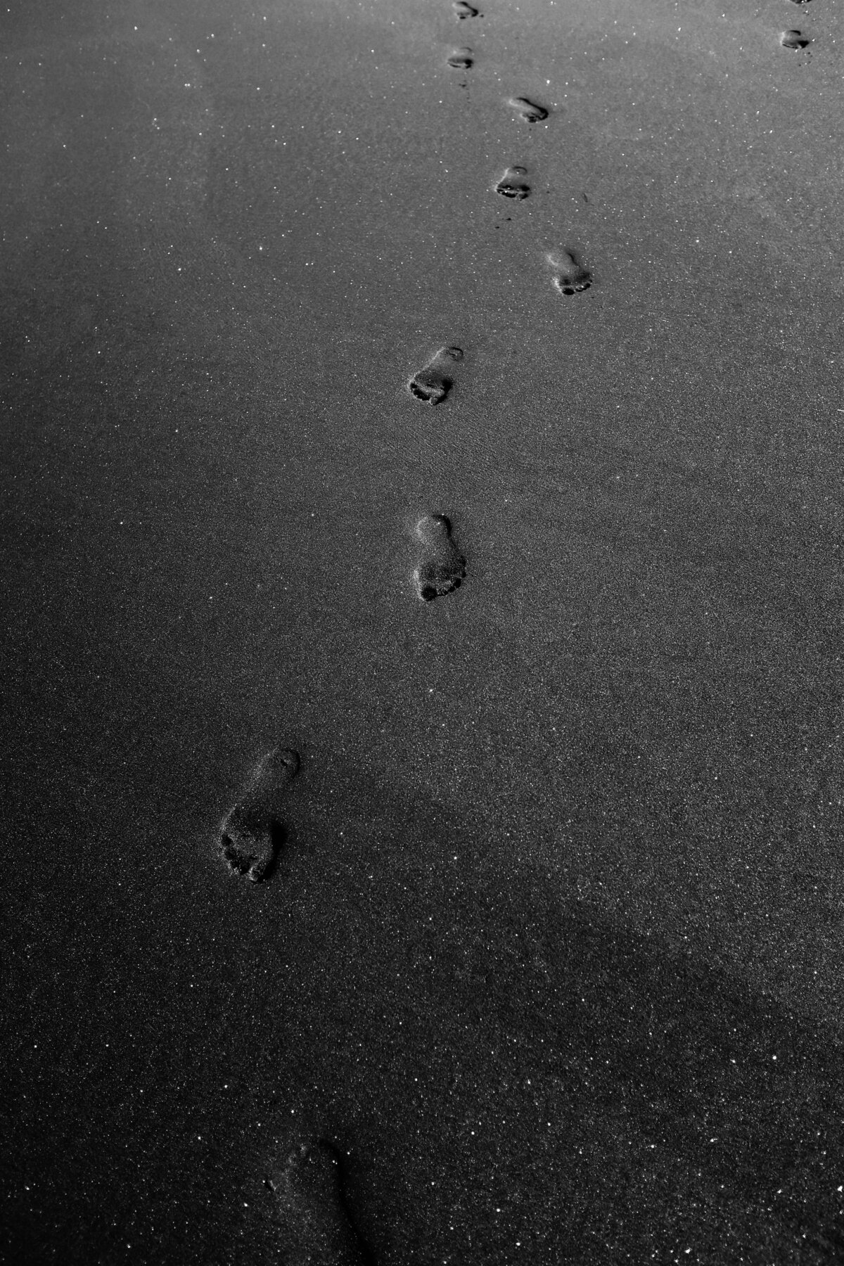 pexels-adrien-olichon-3646206