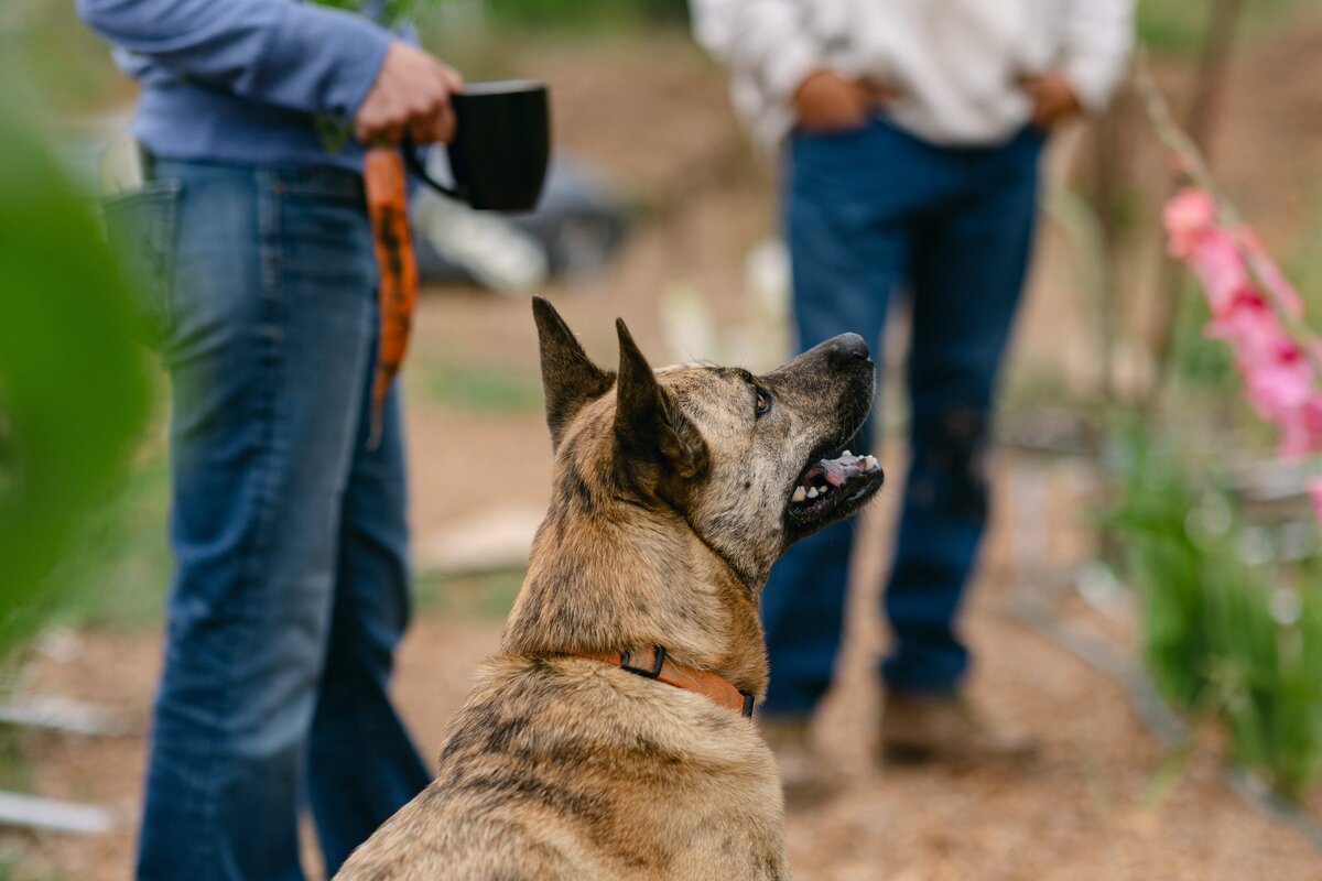 Leap-Lab-Science-Farm-Ventura-California-Santa-Paula-Non-Profit-0003