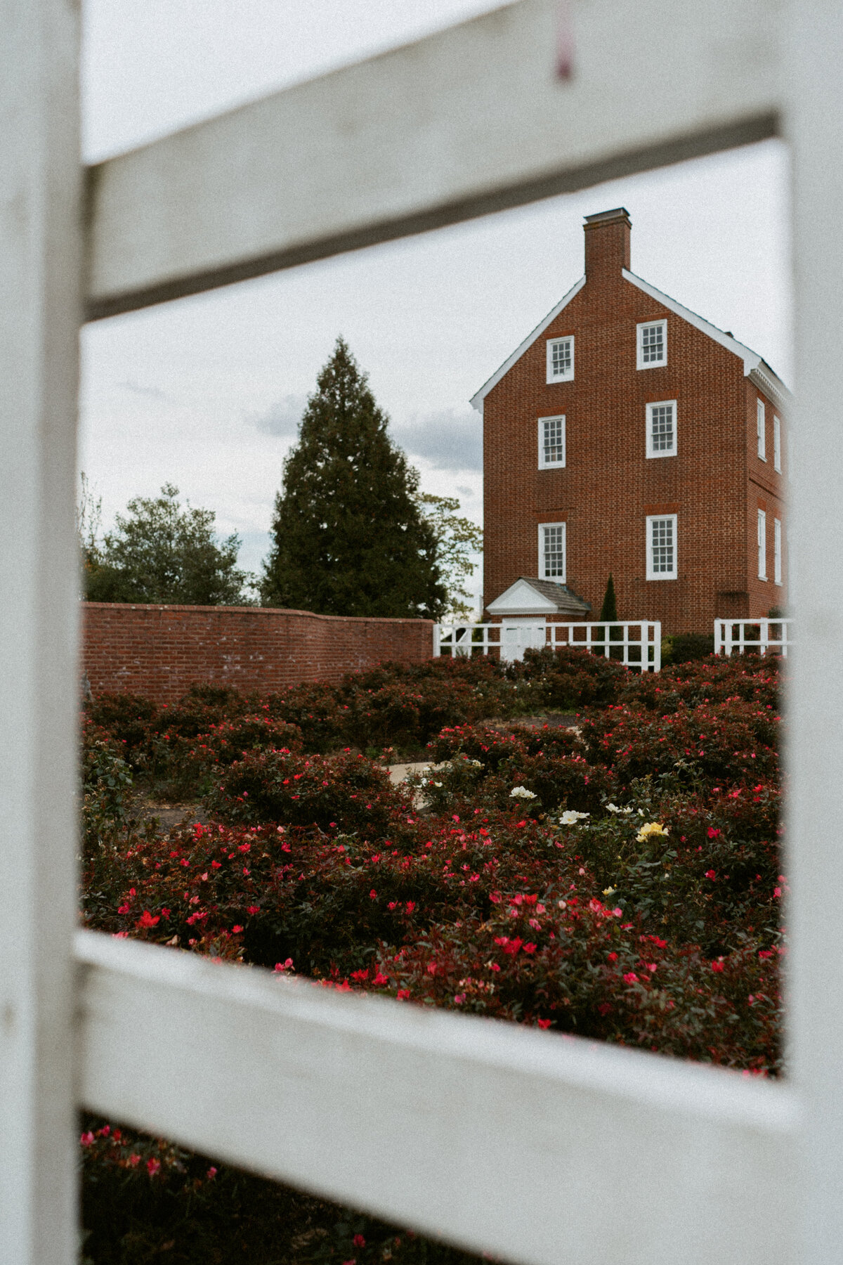 DMV-Dulanys-Overlook-Frederick--Maryland-Wedding-Photographer-Laced-Honey-Photography-07613