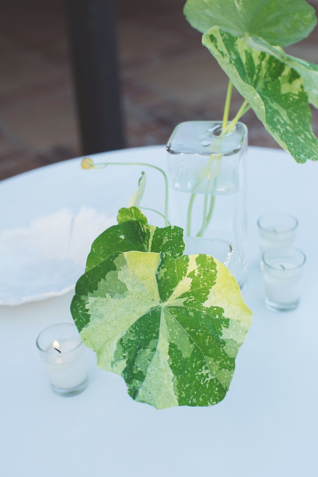 Architectural-Digest-Corporate-Event-Planning-Dasfete-Bermuda-26