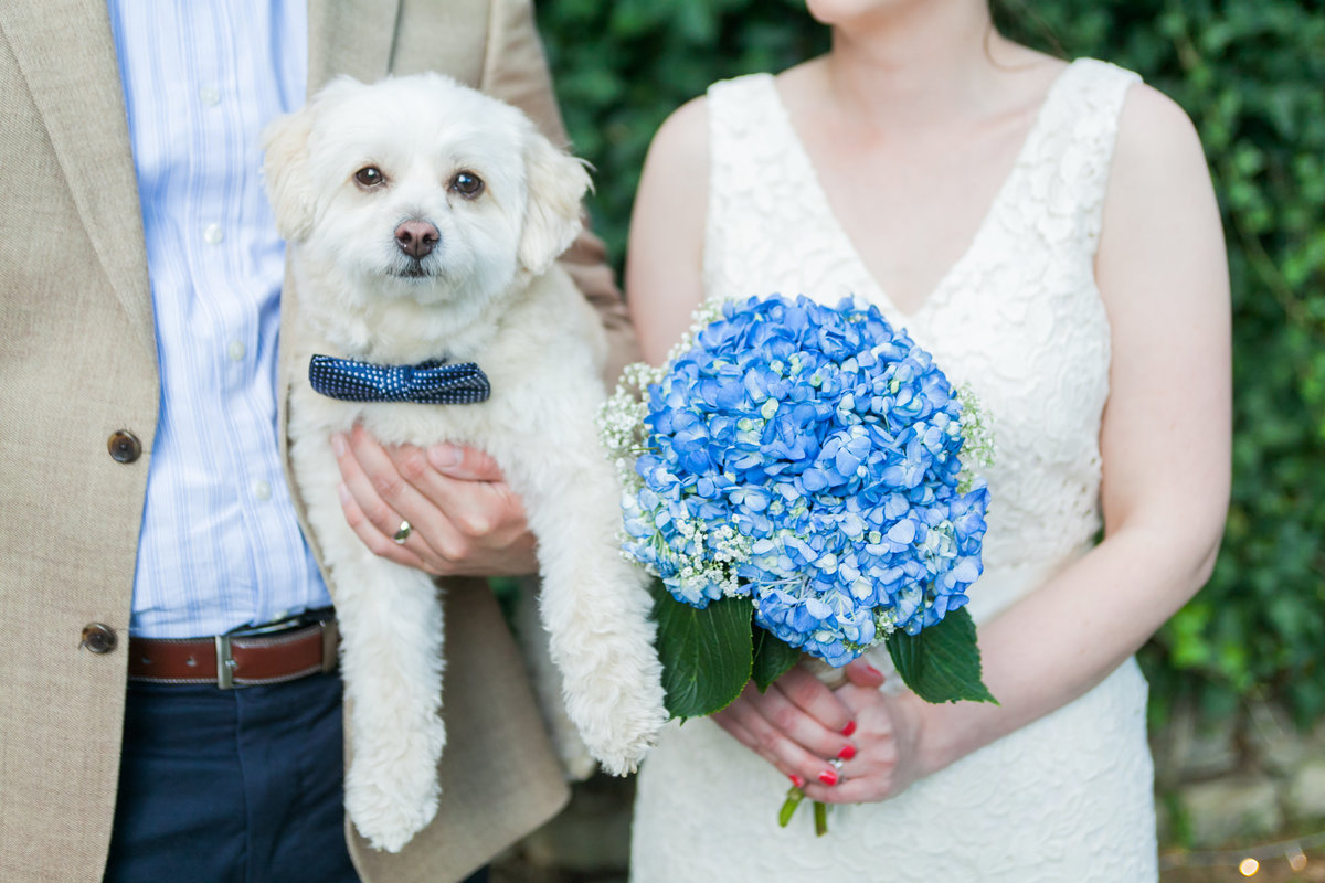 Photo of dog as the ring bearer next to the bride and groom and a bridal bouquet  | Susie Moreno Photography
