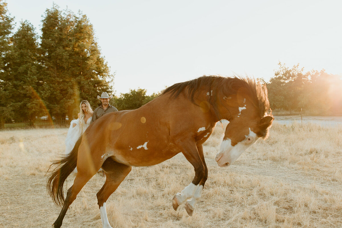 Oakdale Ranch Bridal Session - Central Valley Ca - Morgan + Kyle - McKenna Payne Photography26