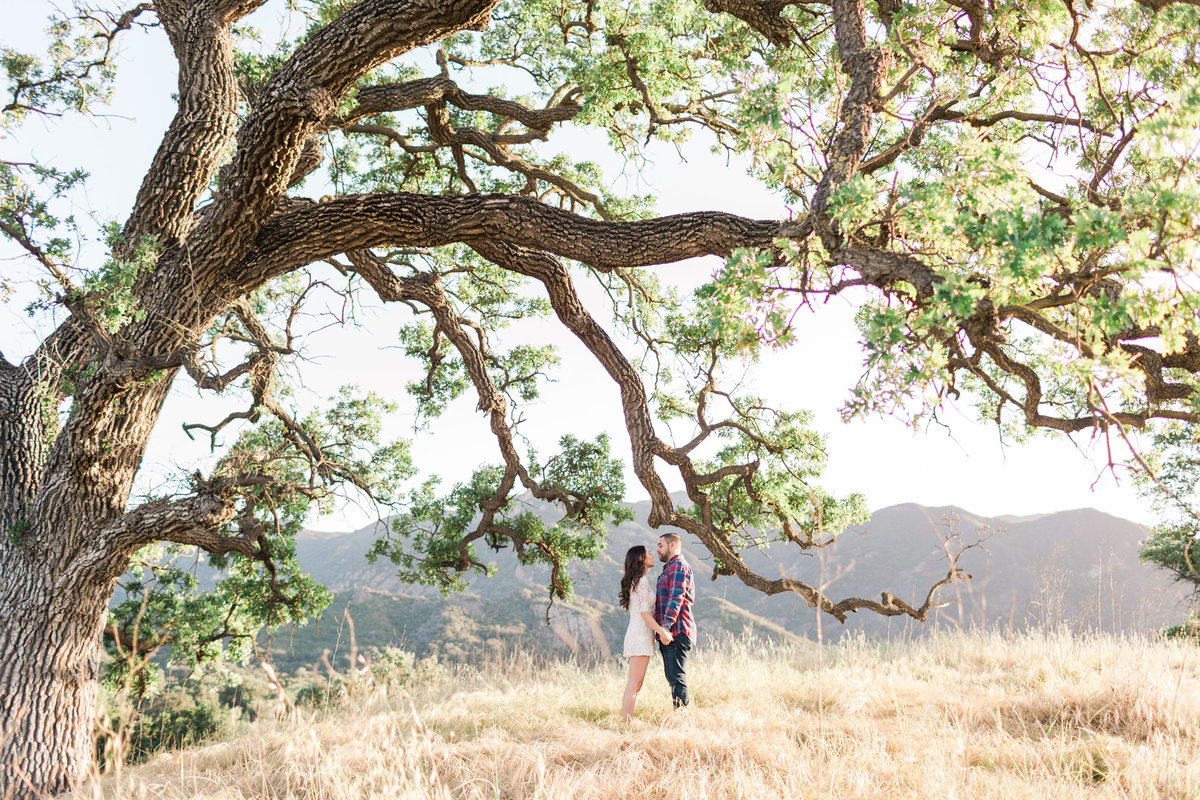 Malibu Creek State Park Engagement Session_Valorie Darling Photography-7340