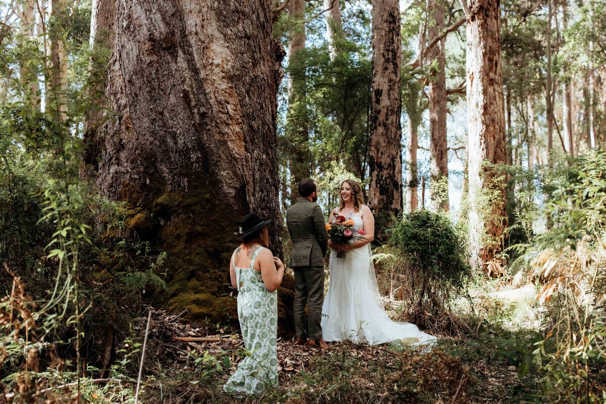 Forest-Elopement-Pemberton-6