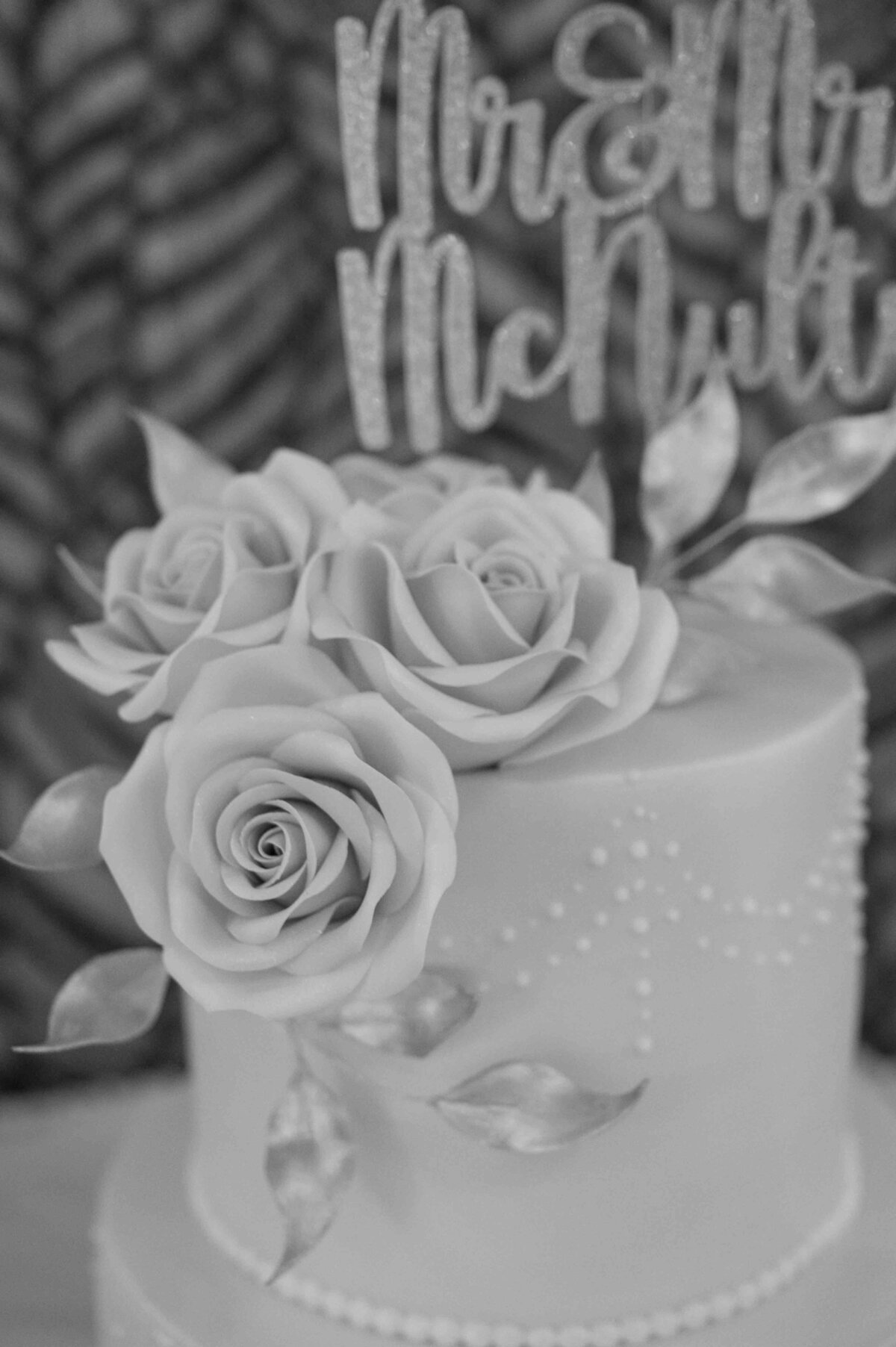 Carmen Sherred Photography-315