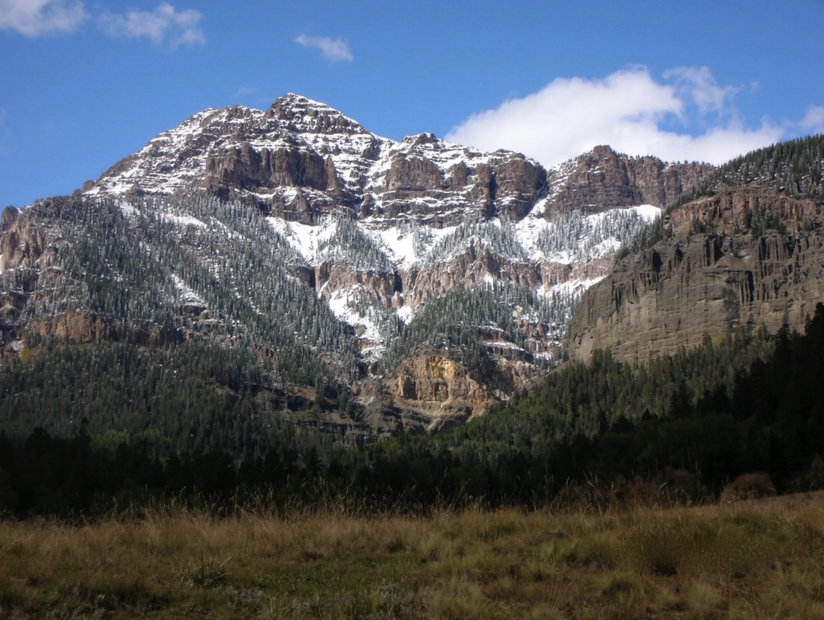 Screen Shot 2025-12-03 at 6.23.55 PM