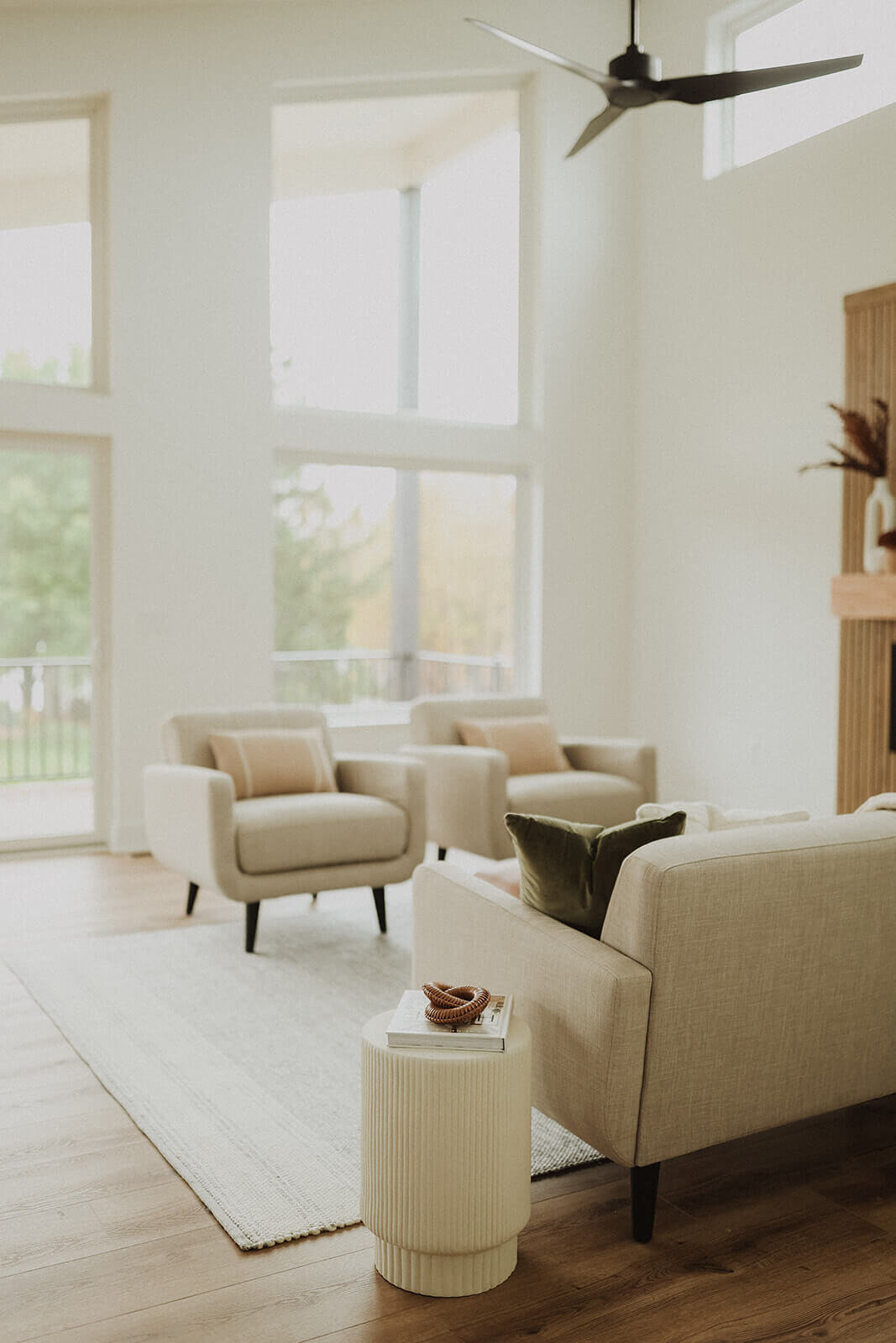 4758-Panorama-Drive-Living-Room-Interior-Design-Grimes-Des-Moines-Waukee-West-Des-Moines-Ankeny-Lake-Panorama-Central-Iowa--Interior-Design-Grimes-Des-Moines-Waukee-West-Des-Moines-Ankeny-Lake-Panorama-Central-Iowa-3F1A1135