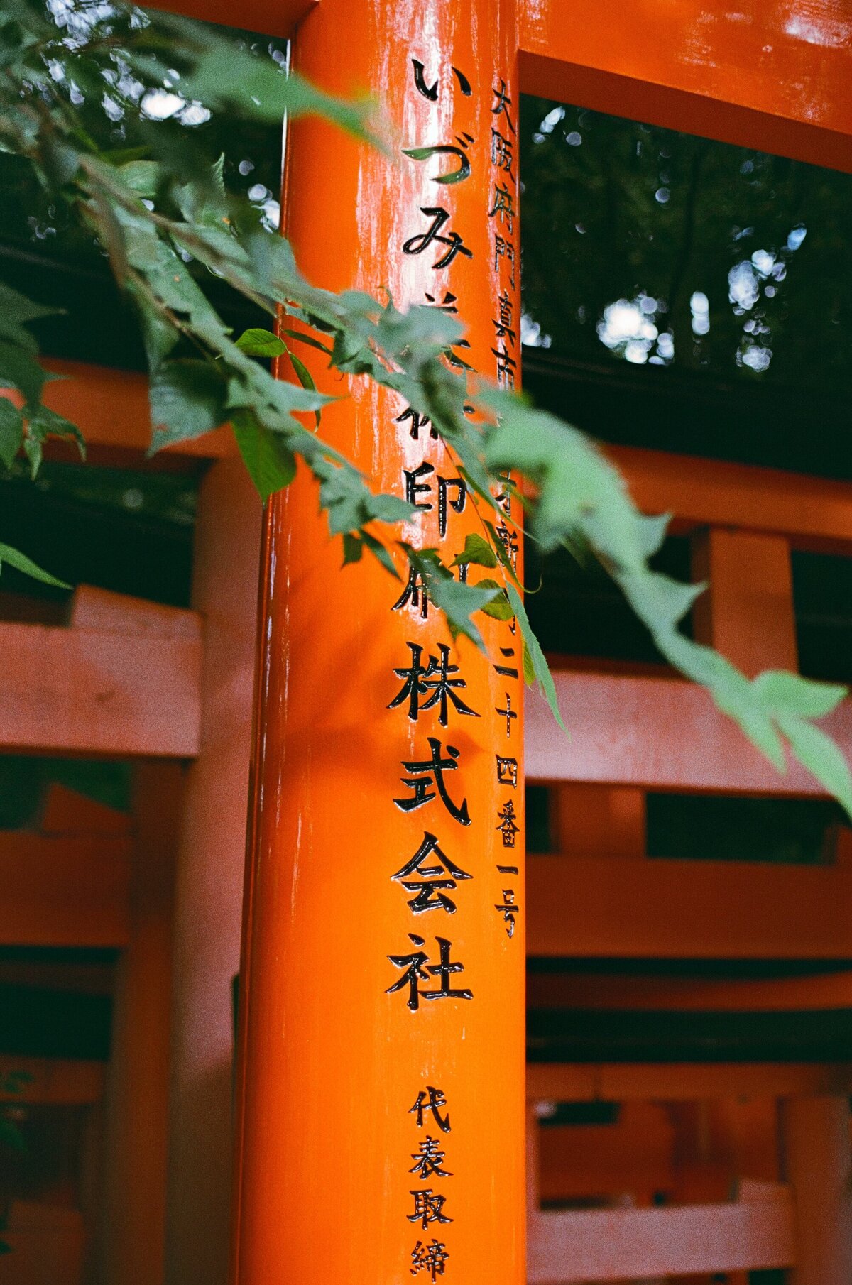 Rainstone Photography 241031 Japan & Seoul Trip-42