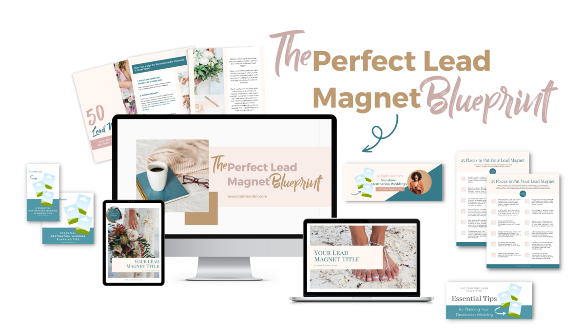 Perfect Lead Magnet Blueprint