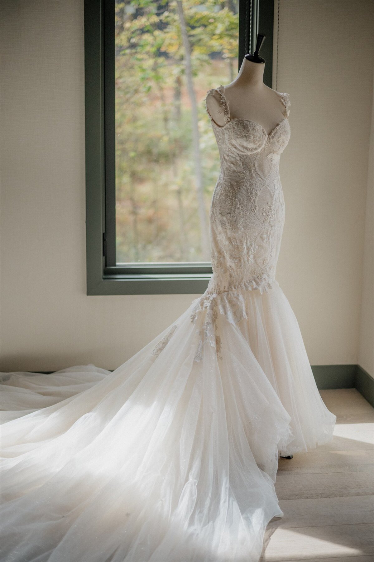 wedding dress photo inspo