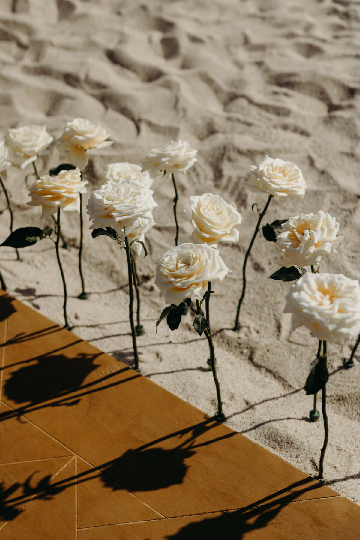 Cabo-Destination-Wedding-36