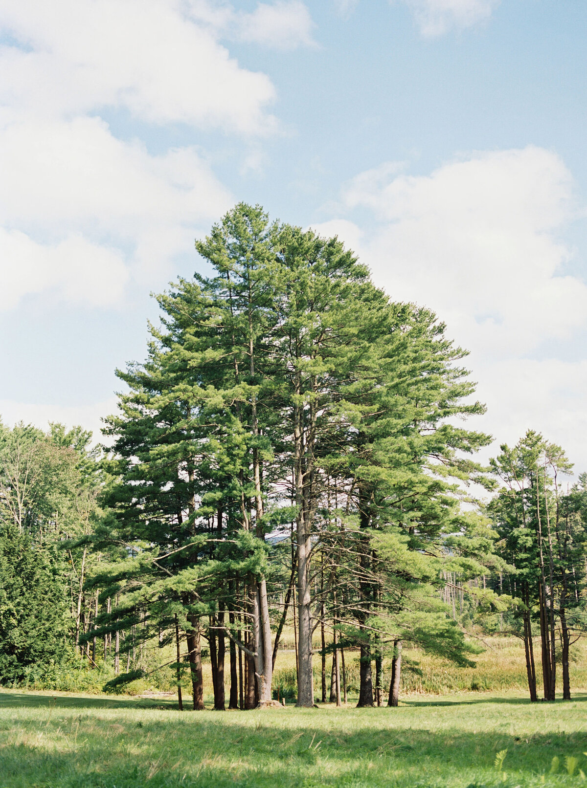 The Mount Wedding-AmandaKPhoto-4