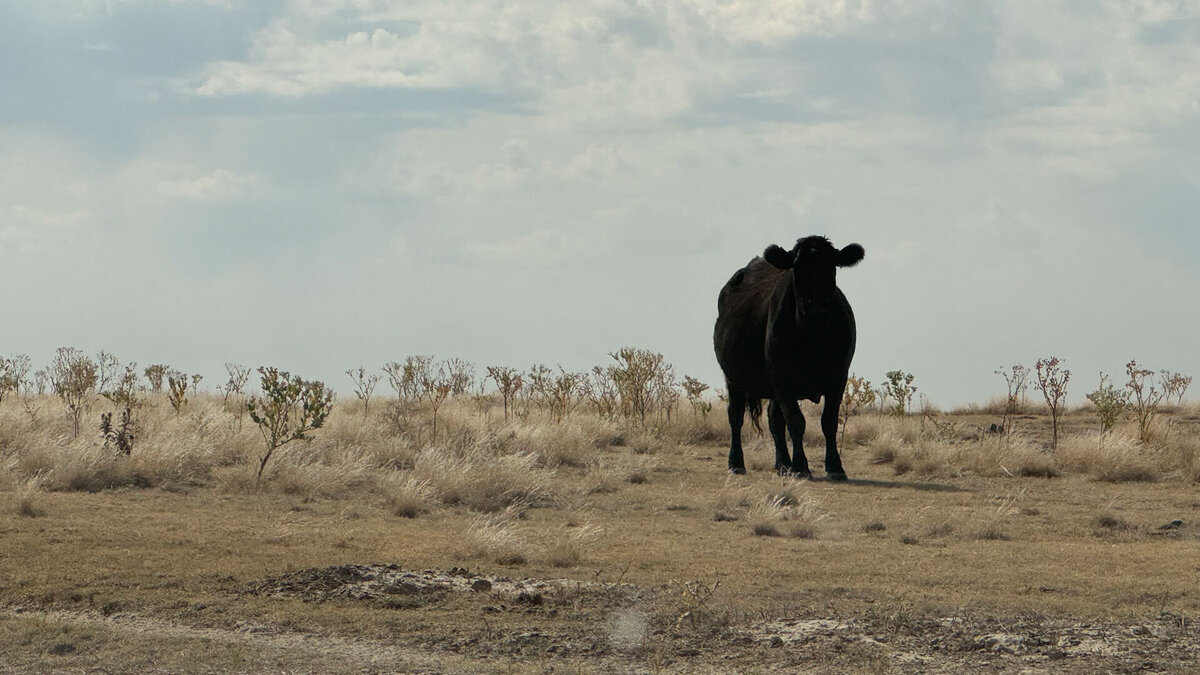 cross-country-trip-heather-homes42