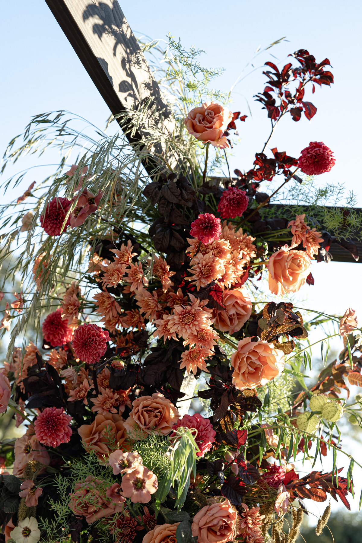 The Editorial Series-133