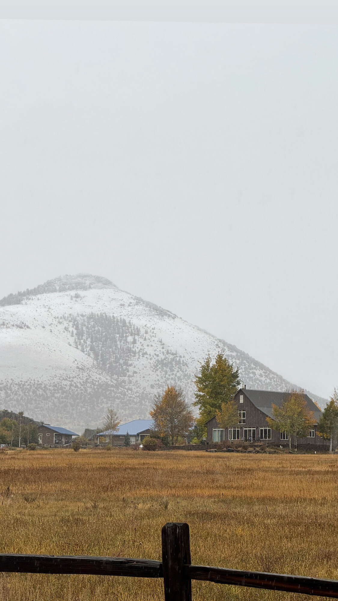 4226EB5D-6E91-4965-A545-AB141DC59F65