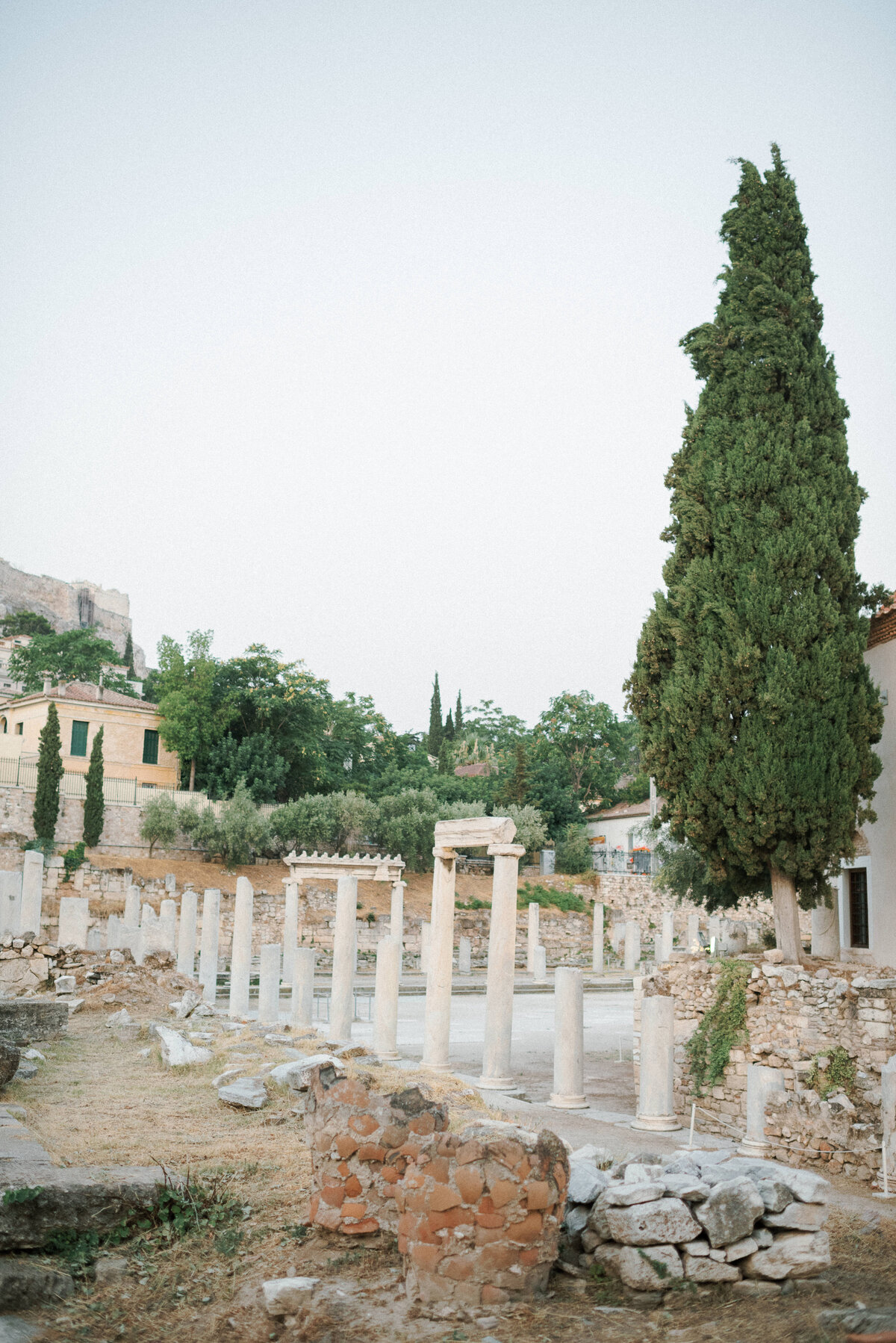 Les_Anagnou_eng_Nick_Jehane_03082019_01