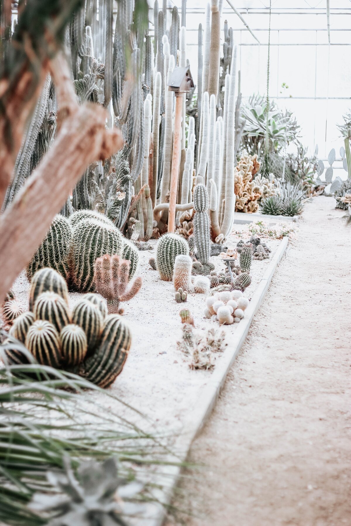 micheile-dot-com-4kVG6WXWl0o-unsplash