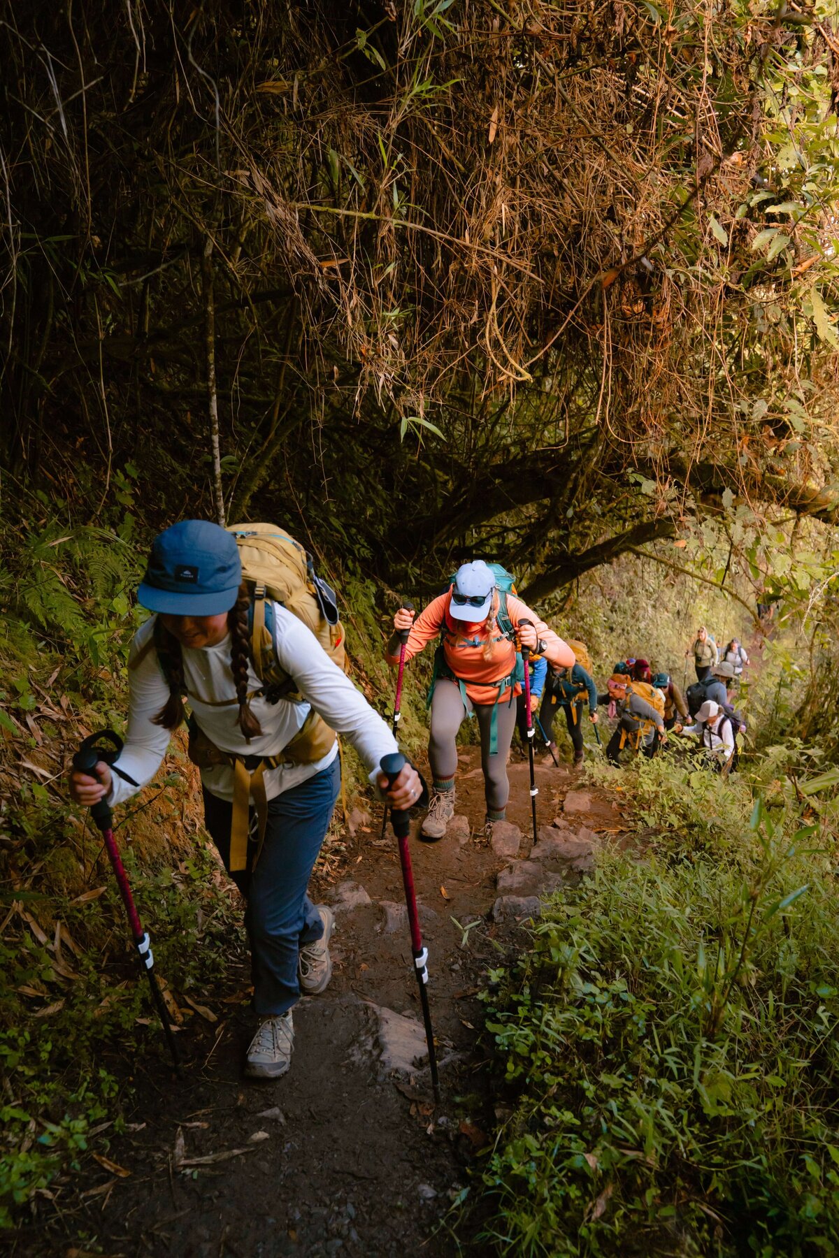 meredith-ewenson-salkantay-trek-peru-legit-trips-hiking-trail-jungle