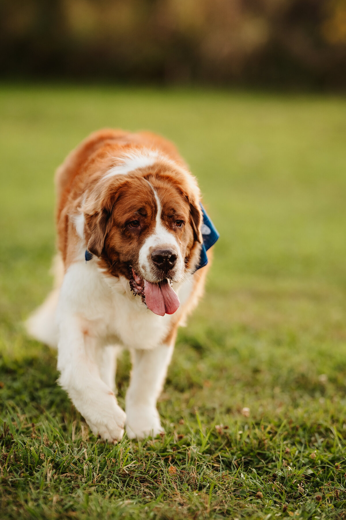 NicoleS_Fall2025_138