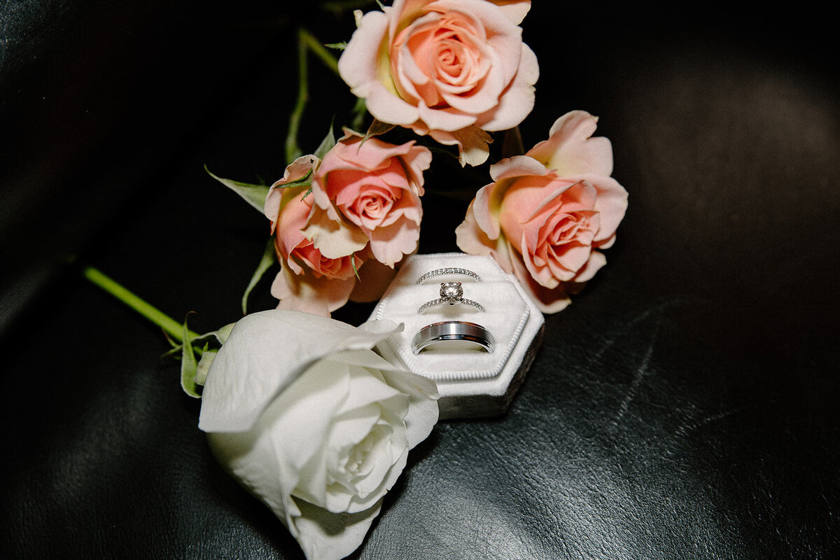 tampa river center wedding photos alexisbedenbaughphotography-6