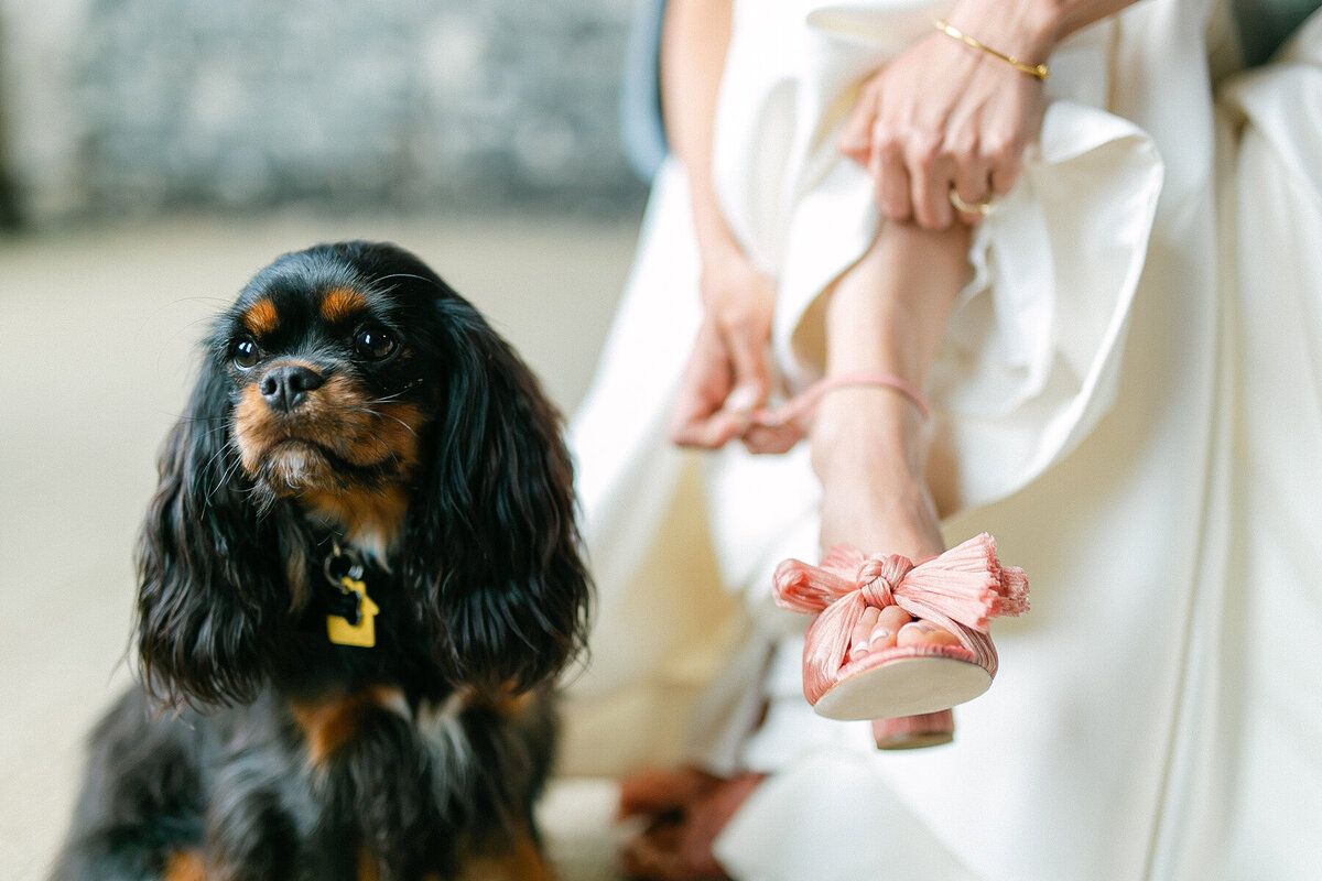 foto-boho-oxford-exchange-wedding_0093