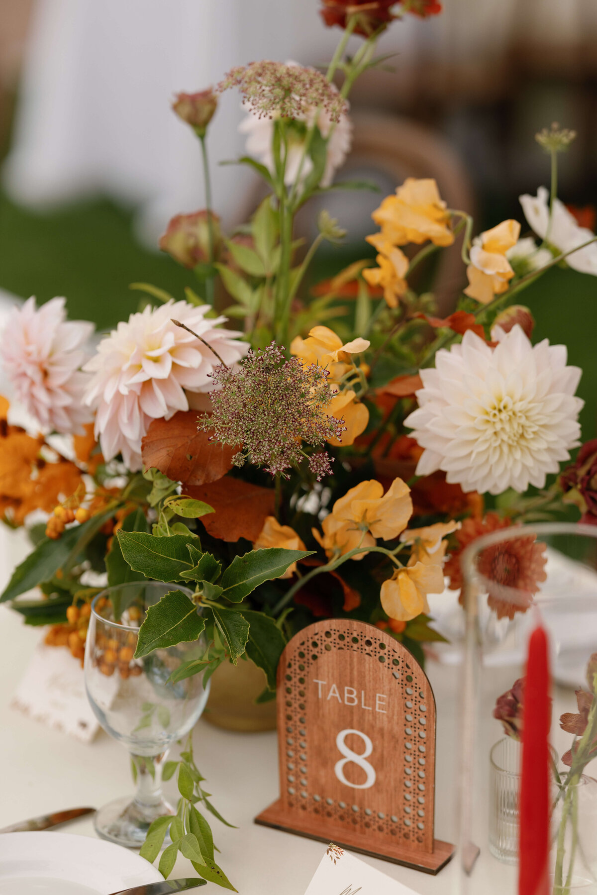 TriciaBaileyPhotography-800
