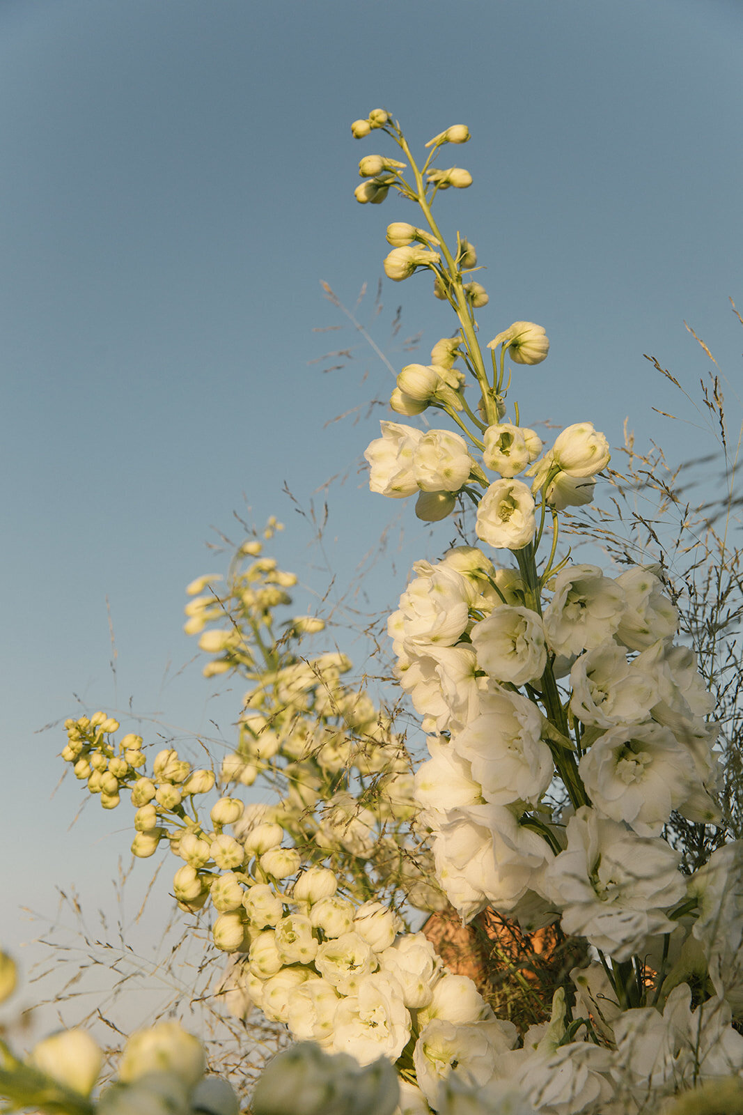 Tripp_Devry_D2_SBerard_Weddings-52