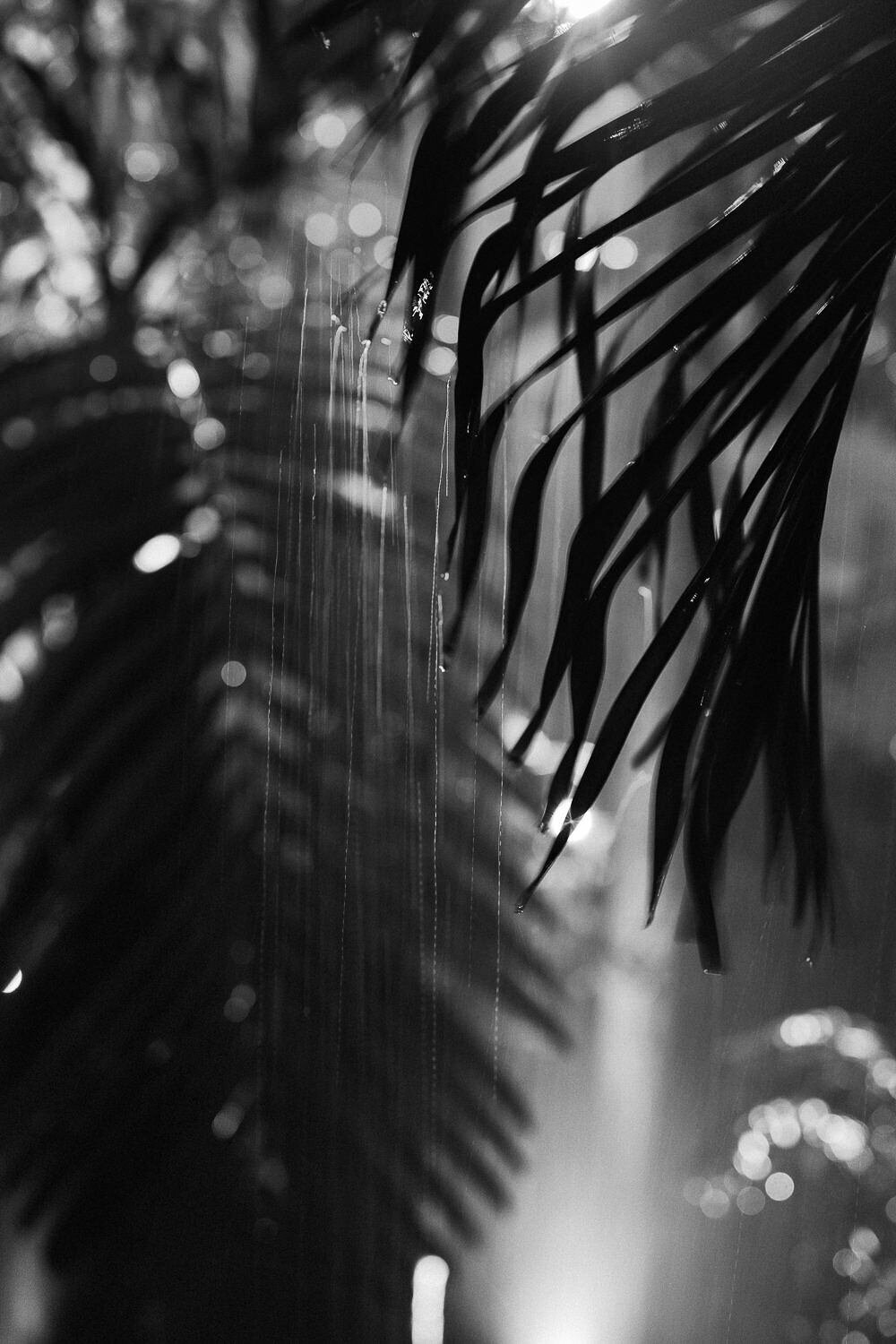 theresakelly-miami-183