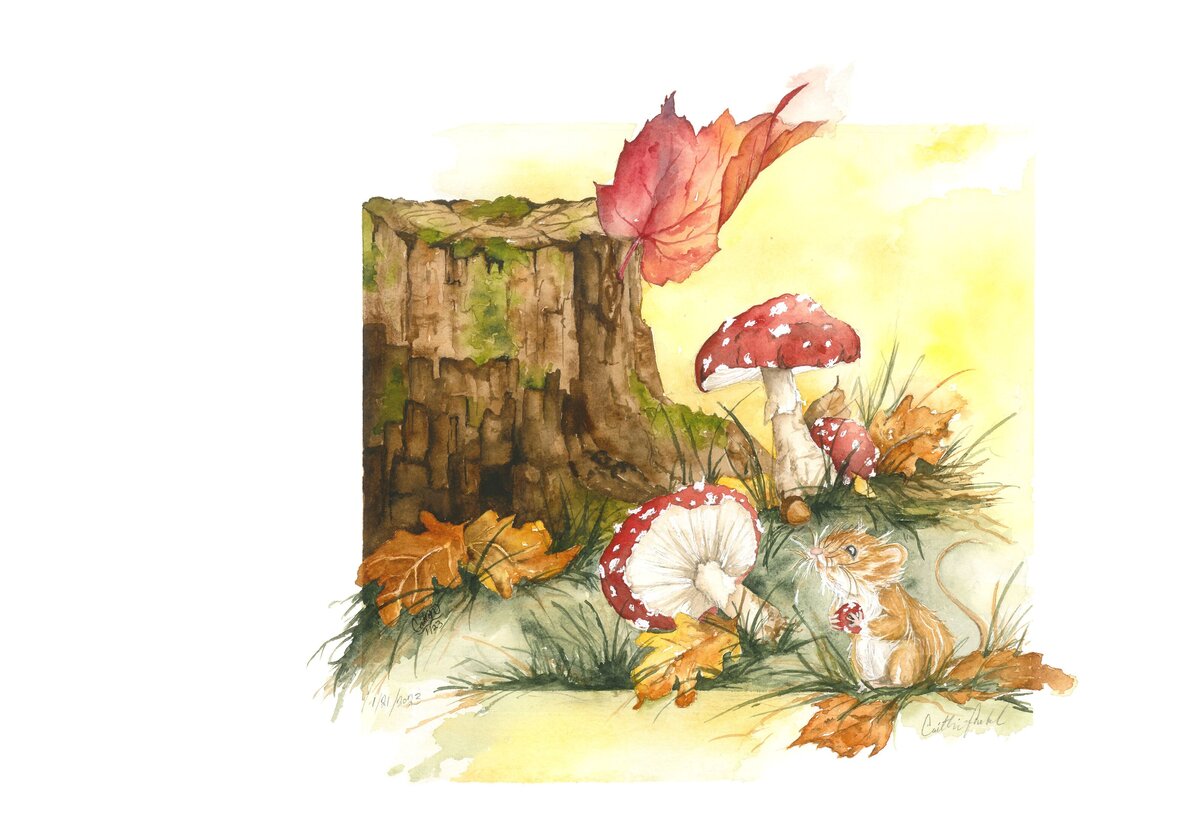 #5 'Nibbling Mushrooms'