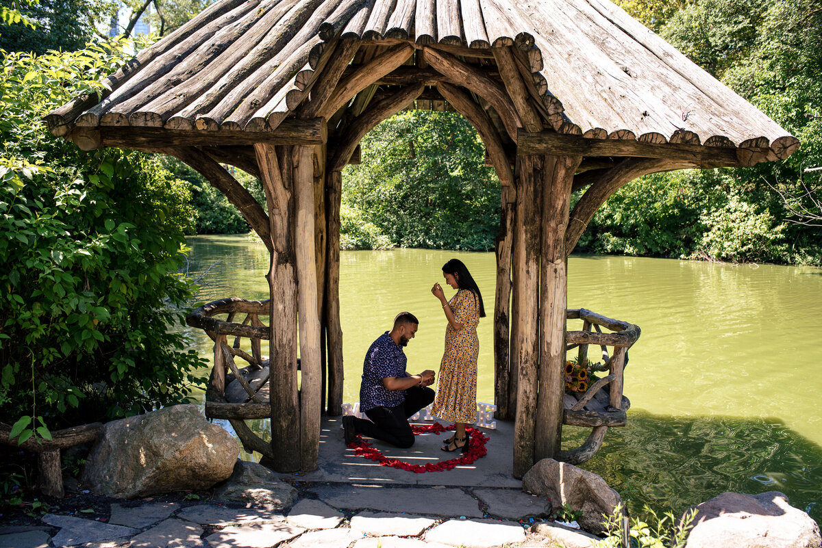 indian-man-proposing-in-Central-Park