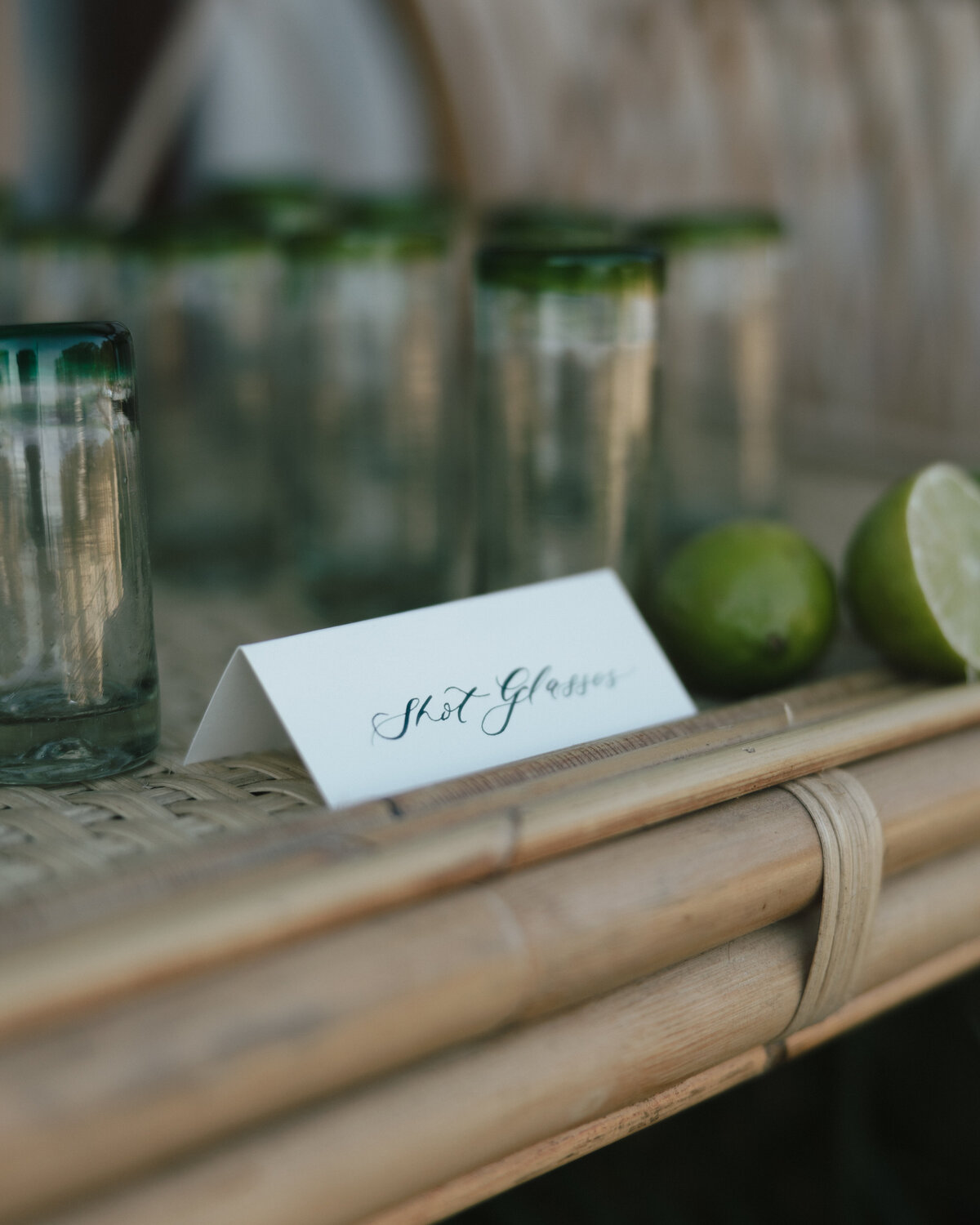DearVincent_Tyler Speier Events_RD-38