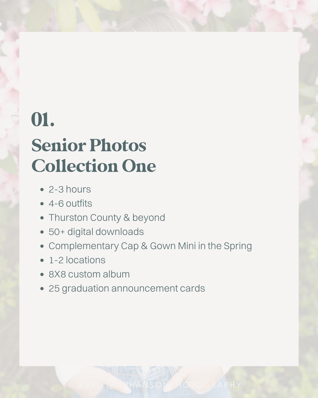 Brittany Hanson Graphics 5