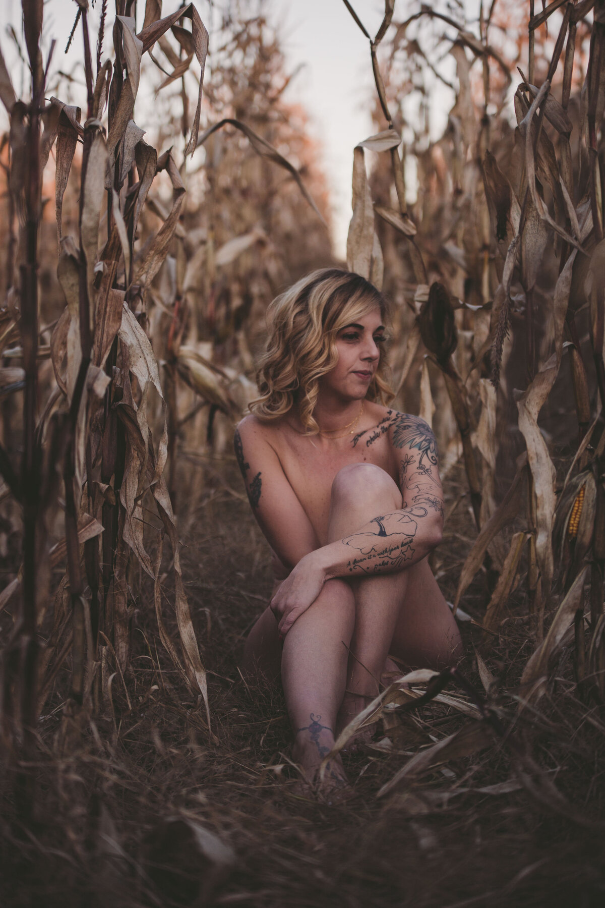 Cornfield intimate photos to show the nakedness of our heart