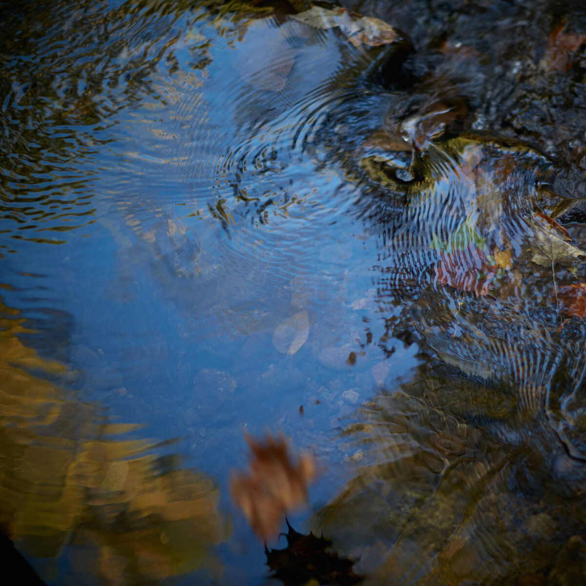 20151006___MG_6535