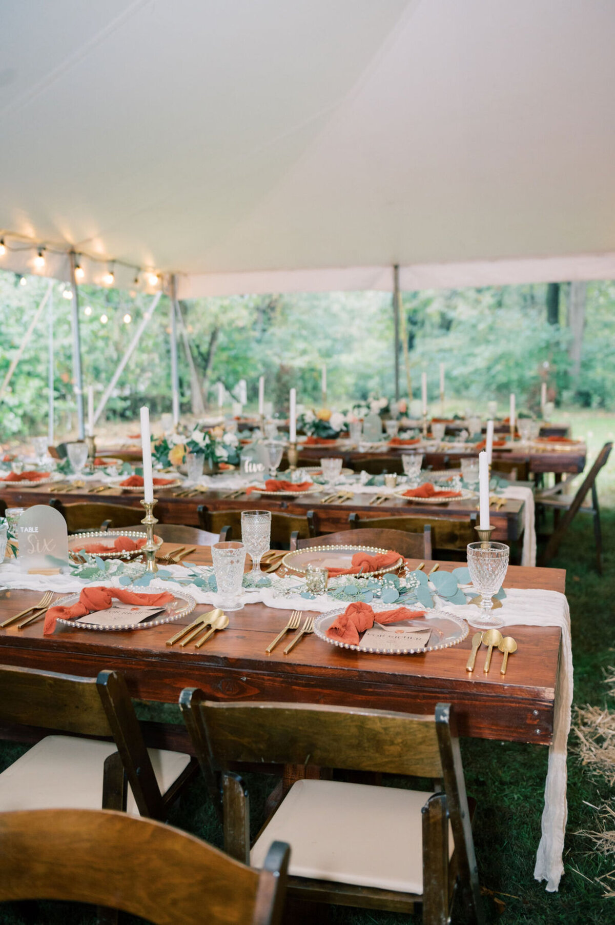 BreAnna and Ryan Wedding - Goblets, Candlesticks, napkins and runners(5)