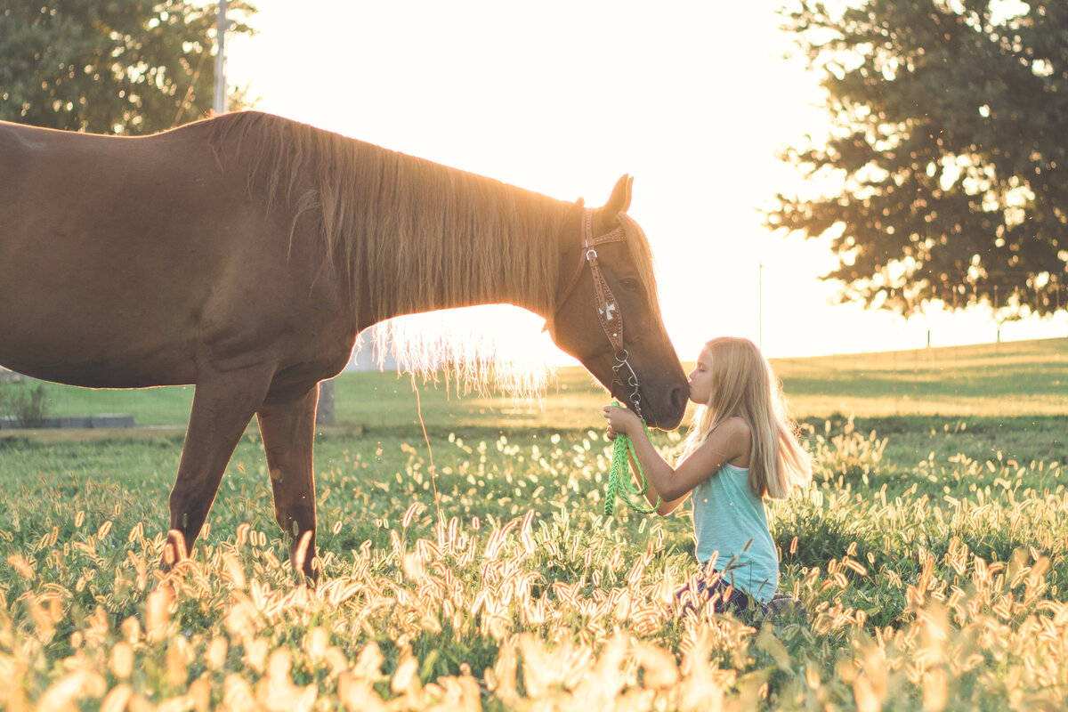 Horse01