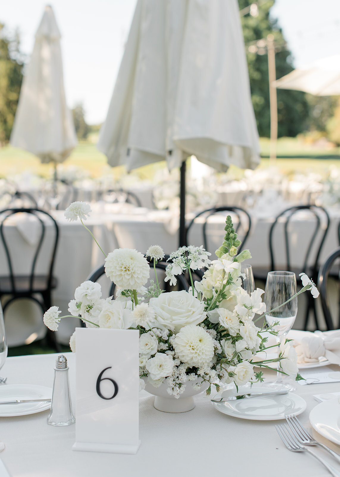 JanetLinPhotography_Meagan&Tom-Wedding-542