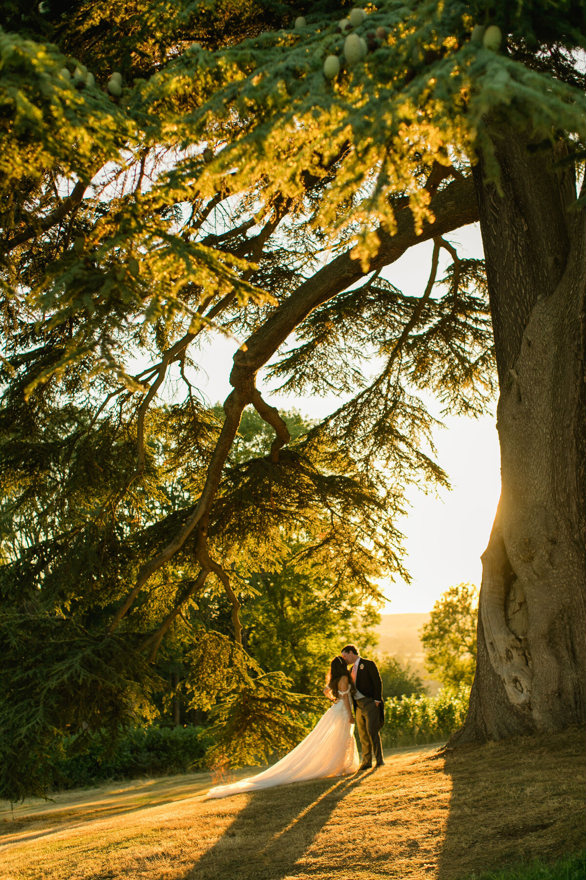 hedsor-house-wedding-photographer-roberta-facchini-photography-668