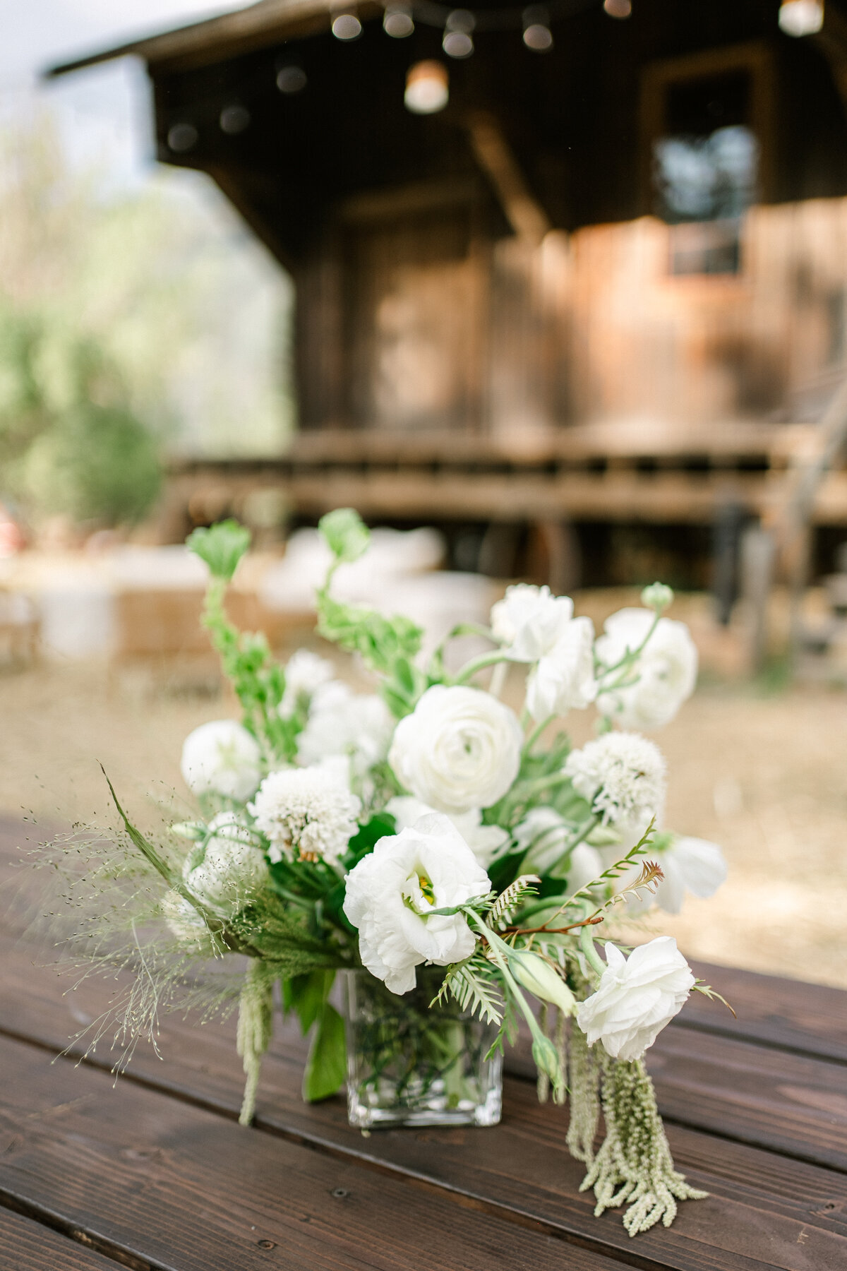 AspenWelcomeParty_0001