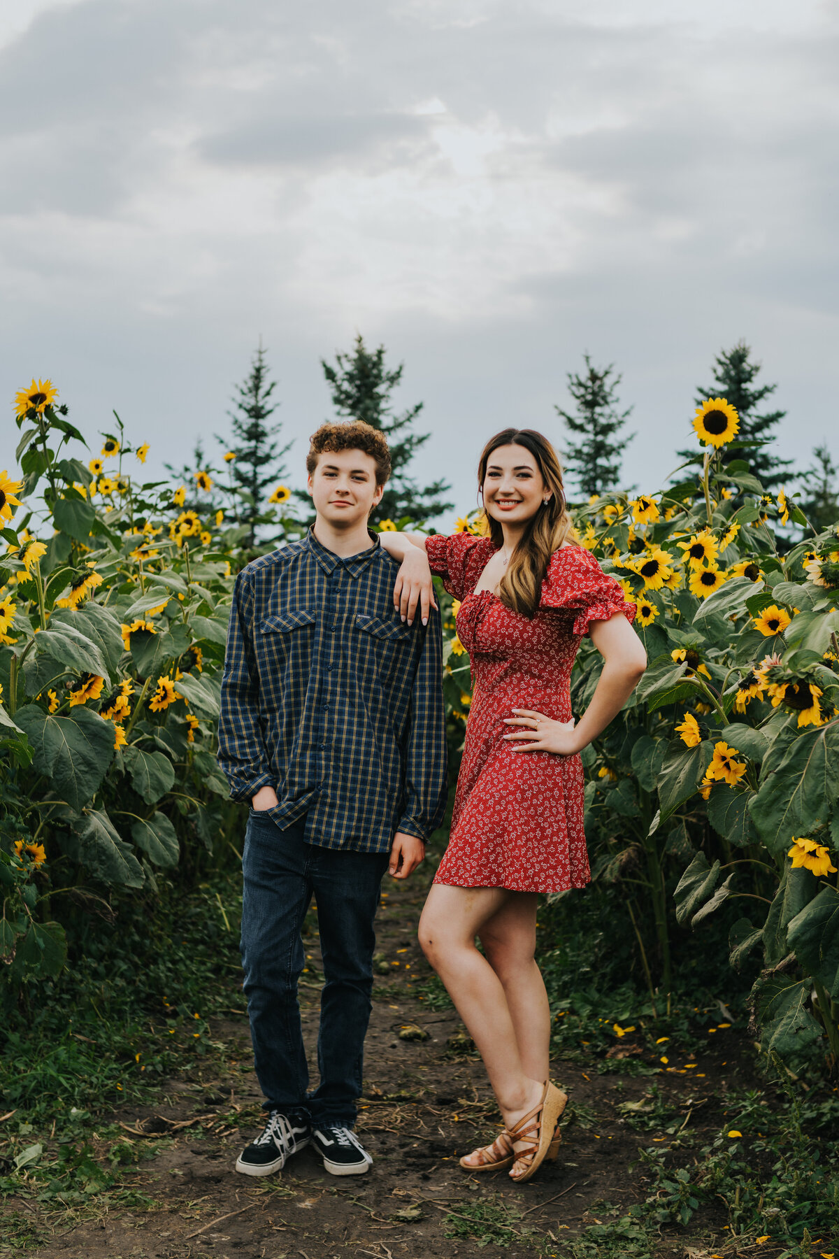 NSunflower (12)