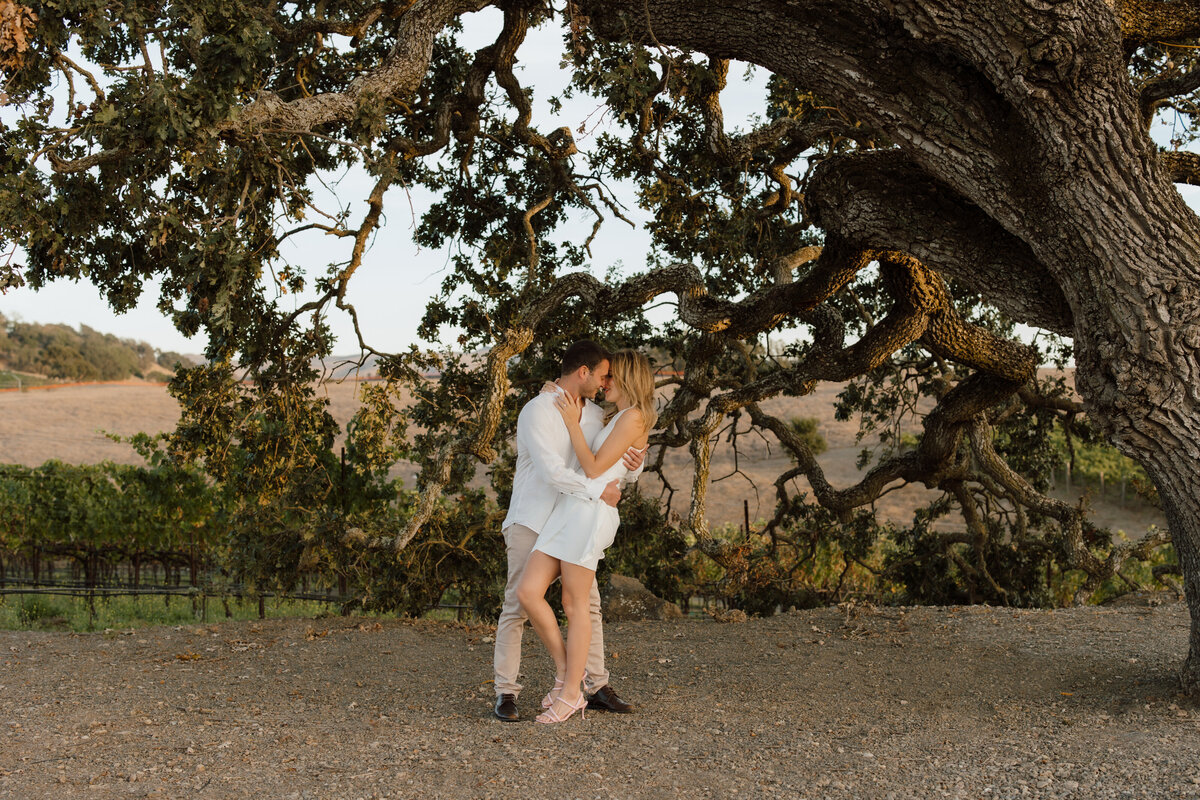 An intimate moment outside Meritage Resort and Spa in Napa california