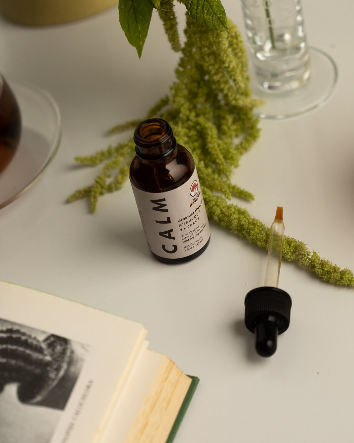 PsychedWellness_LaunchShoot_Lifestyle-Off-Fig_Shot03-00248