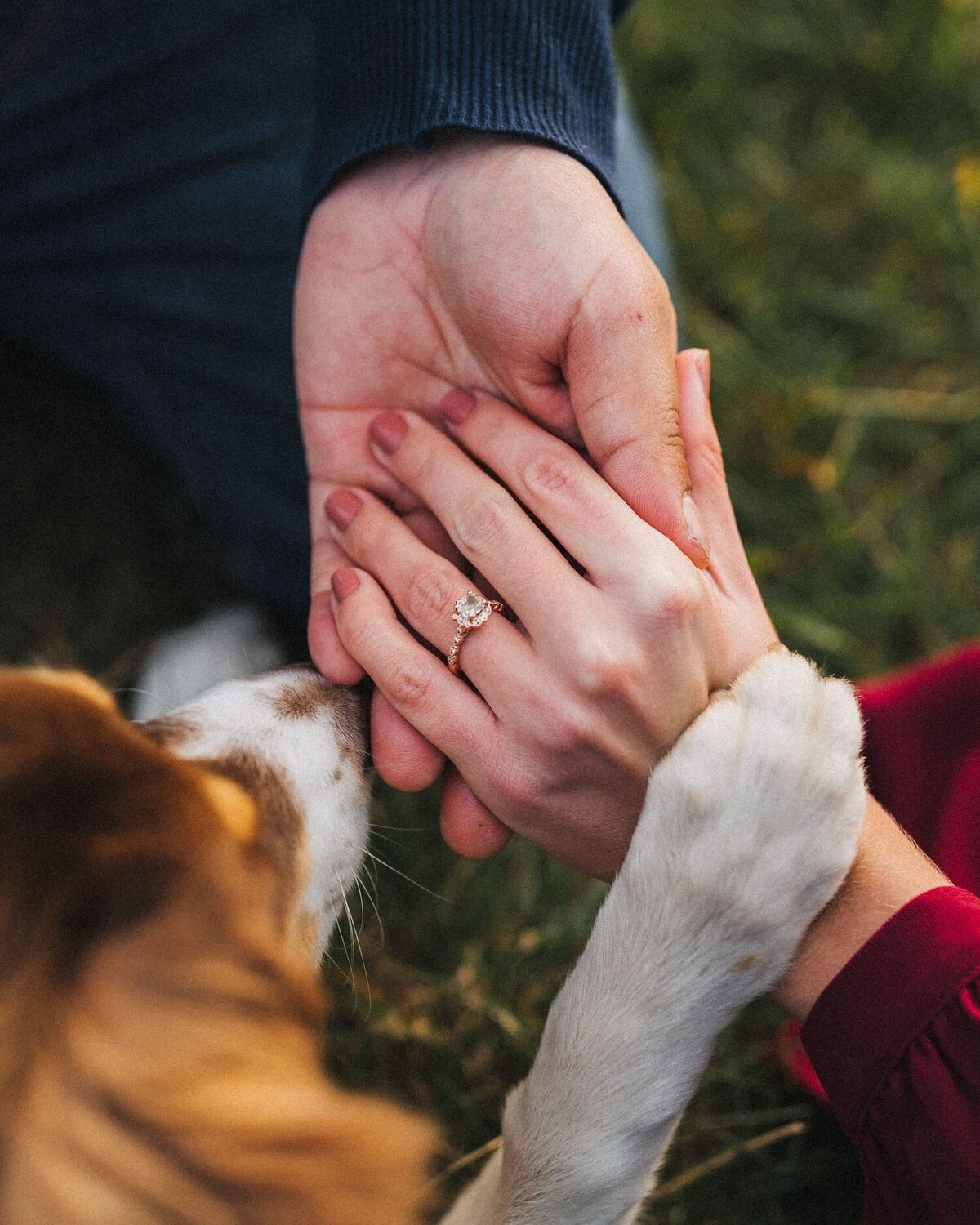 charlotte nc wedding photographer