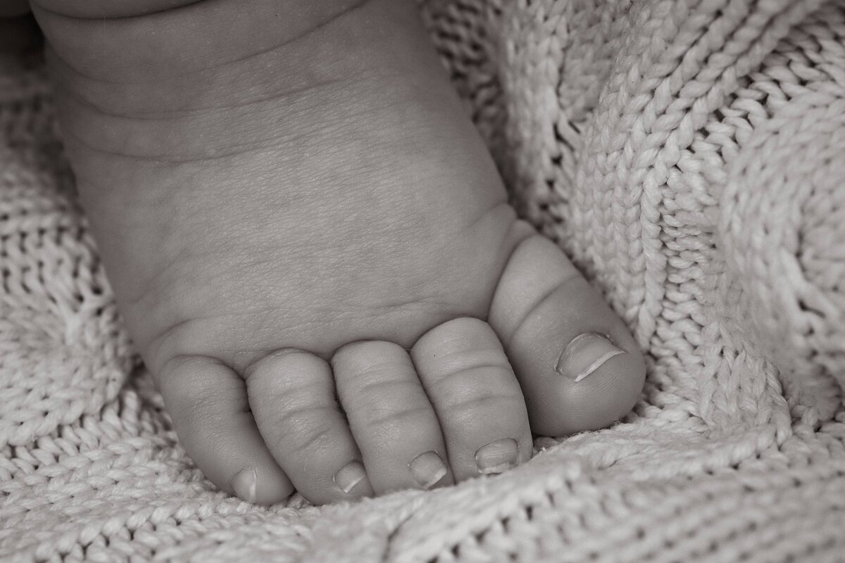 black and white close up of newborn toes