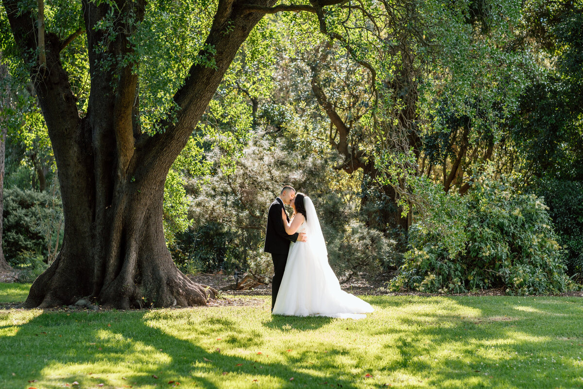 Aly Marie Photography - The Terrace Royal Botanic Gardens Wedding-56