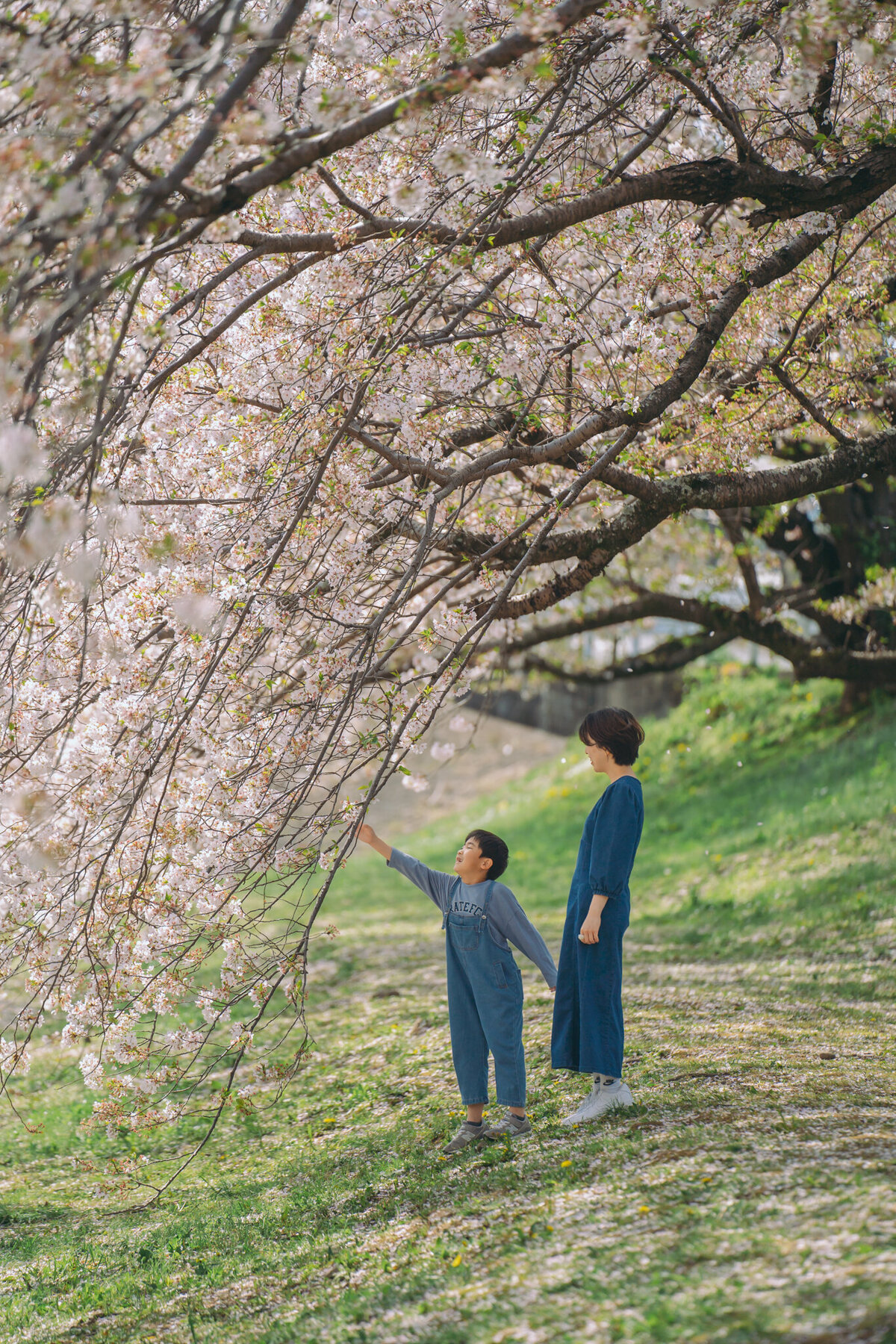 aichi-toyohashi-family-photographer-118